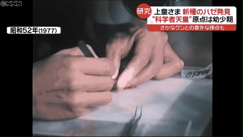 1976年，明仁和妻子美智子