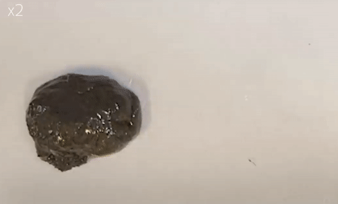 这可能是你见过最丑机器人：像“毒液”般随意变形还能重生