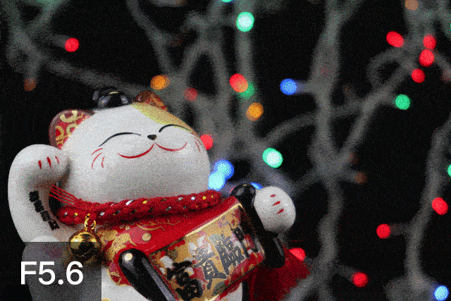 佳能g1&nbsp;x&nbsp;mark&nbsp;iii虚化能力展示(72mm)