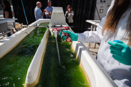 抖音点赞神器：如何通过自助推广平台快速提升热度？