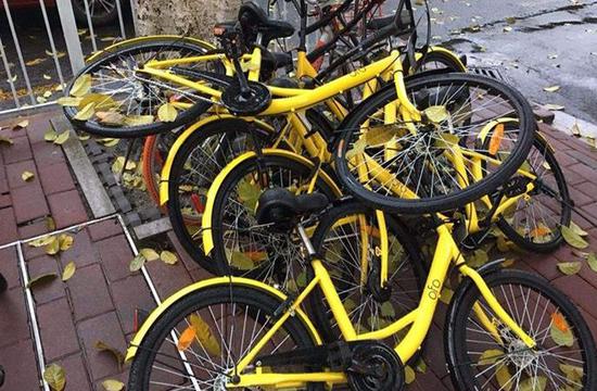 难逃风暴眼？ofo的内外两个世界