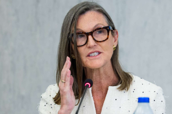 木头姐将比特币2030年目标价下调至120万美元