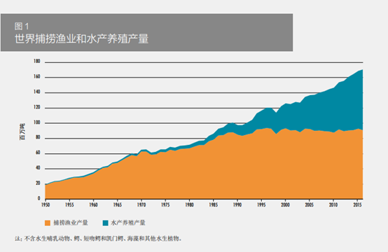 图片来源：《2018年世界渔业和水产养殖状况》联合国粮食及农业组织