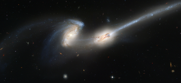 天文学家已经发现了一些正处在合并过程中的成对星系，如图中的NGC 4676。
