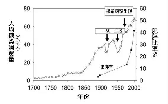 比白糖和酒精更可怕的健康杀手 - 果葡糖浆