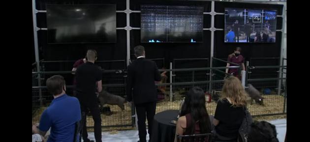 新京报网：马斯克的脑机接口靠谱吗？专家：距离人佩戴还很远新京报网2020-08-31 13:38:150阅