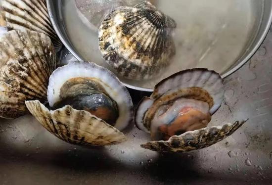 王先生收到的盒马扇贝