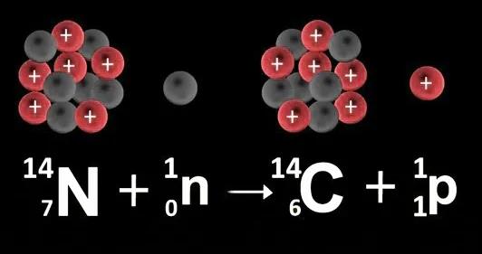 宇宙射线会与氮原子发生反应，形成碳-14同位素。
