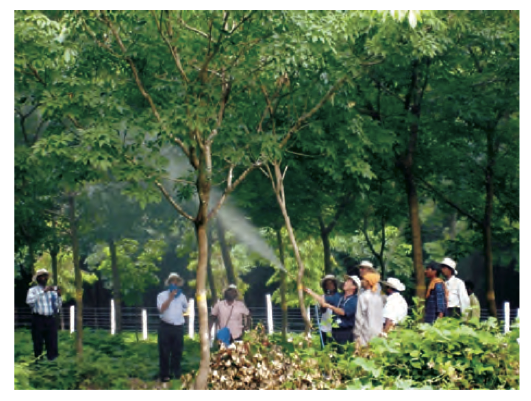 种植者给橡胶树喷射杀真菌剂。图片来源：FAO