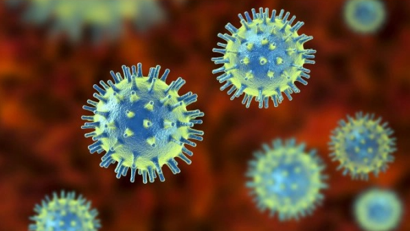 科学家仍在寻找新冠病毒的零号病人