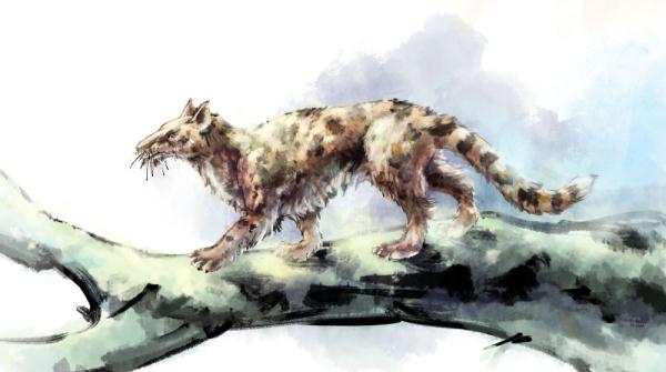 远古发现丨追虎寻源之一:虎从何来?