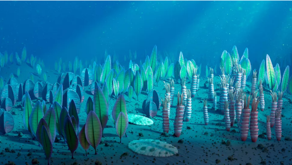 这个 5.55 亿年前的海洋生物基因仍存在人体中