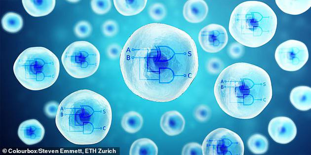 科学家开发“细胞计算机”：人体就是一台大型计算机可以检测一个人的健康状况