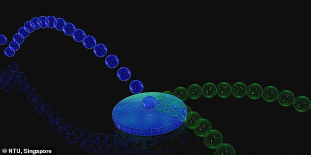 不同于经典粒子，量子粒子可以作为“量子叠加态”、同时朝多个方向移动。科学家Mile Gu和格里菲斯大学的研究人员利用这一现象，打造了一台能够生成由多种未来构成的叠加态的量子计算机。