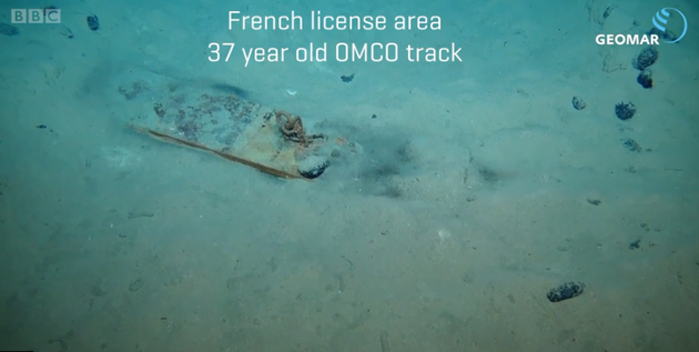 深海潜水器在东北太平洋的克拉里昂·克利珀顿区（CCZ）和Discol试验场观察深海采矿留下的挖痕