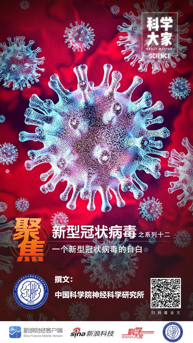 抗疫解惑 一个新型冠状病毒的自白 病毒感染 肺部 科学大家 新浪科技 新浪网 抗疫解惑 一个新型冠状病毒的自白 病毒感染 肺部 科学大家 新浪科技 新浪网