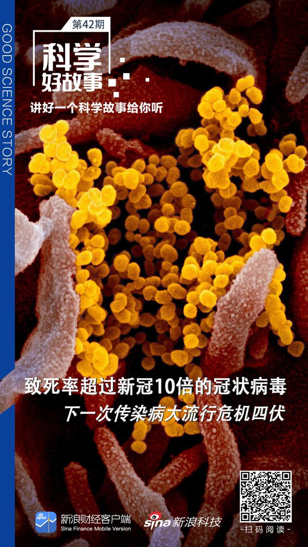 致死率超过新冠10倍的冠状病毒 下一次传染病大流行危机四伏 骆驼 病毒 肯尼亚 新浪科技 新浪网 致死率超过新冠10倍的冠状病毒 下一次传染病大流行危机四伏 骆驼 病毒 肯尼亚 新浪科技 新浪网