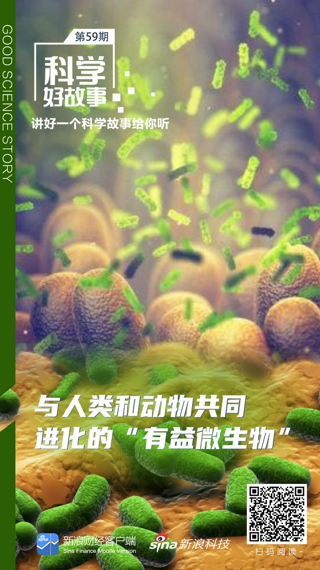 科学好故事 | 与人类和动物共同进化的“有益微生物”