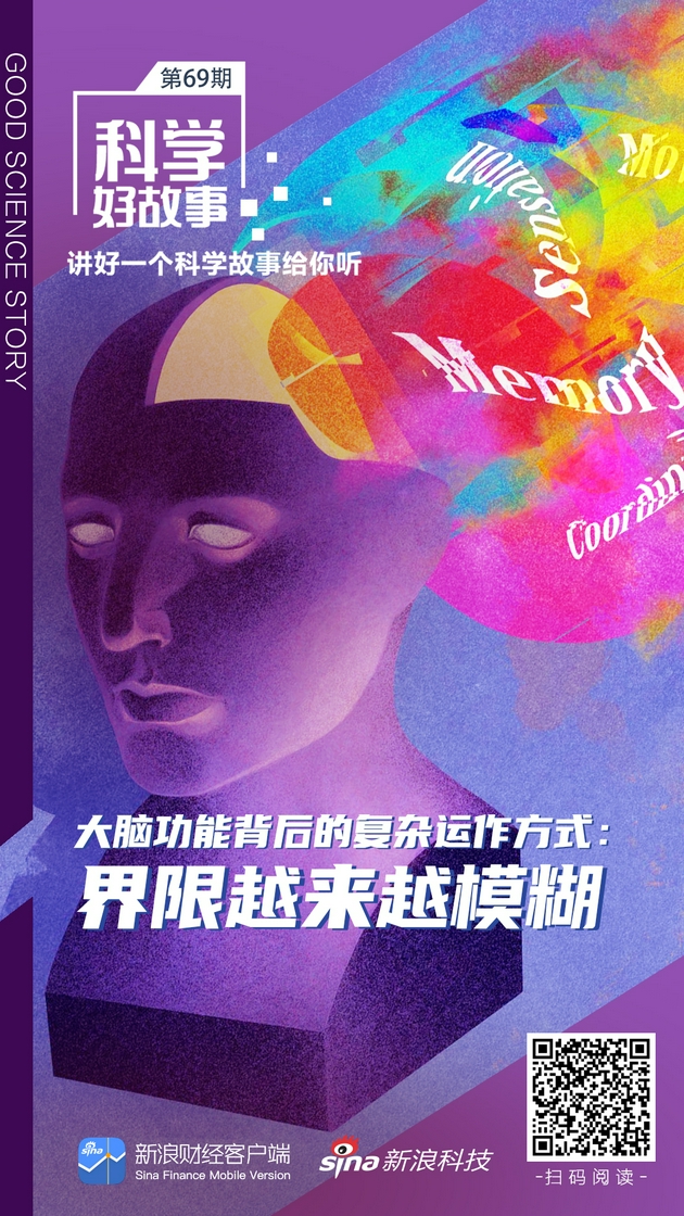 新浪科技|科学好故事|大脑功能背后的复杂运作方式：界限越来越模糊