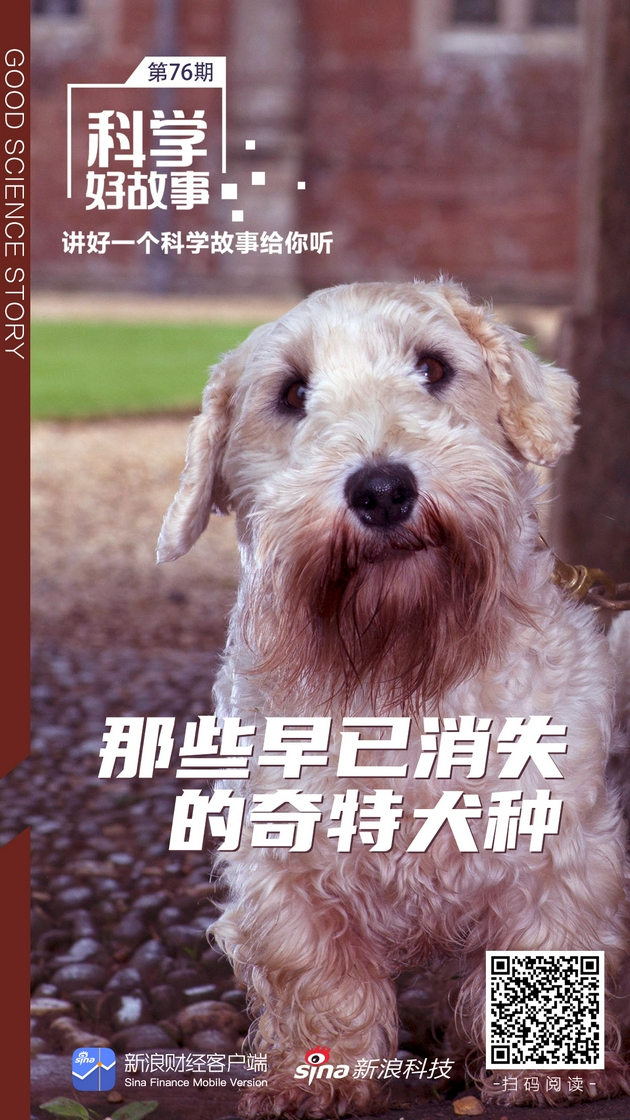 科学好故事|那些早已消失的奇特犬种