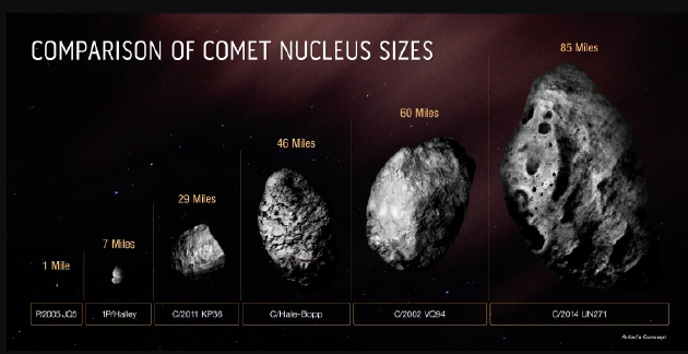 伯纳迪内利-伯恩斯坦（编号为C/2014 UN271）起源于奥尔特云，是太阳系历史上发现的体积最大的彗星。尽管根据哈勃太空望远镜的数据，该彗星的慧核直径约为119公里，少于此前的估计，但仍然是已观测到的最大彗核。