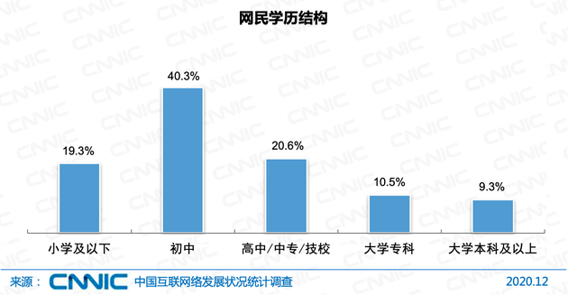 图 27&nbsp; 网民学历结构
