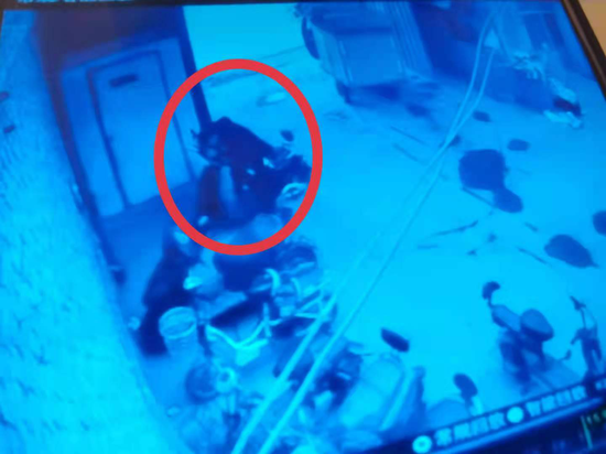 視點·觀察 快遞員出租屋死亡家屬質(zhì)疑網(wǎng)點未上保險 律師稱涉嫌違法