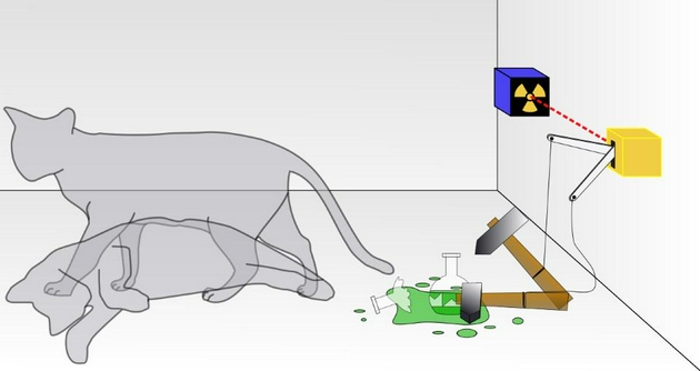 盒子内，猫或活或死，取决于放射性粒子是否衰变。如果猫是一个真正的量子系统，那么猫既不是活的也不是死的，而是处于两种状态的叠加状态，直至猫被观察到。