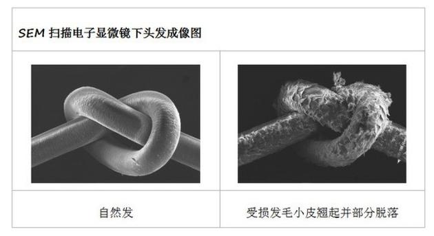 损伤后的头发无法修复