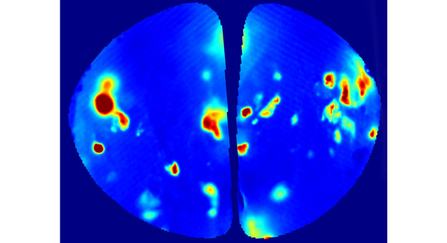 嗅觉图：图中显示了啮齿动物闻到戊酸甲酯时的大脑活动。包含萤光蛋白的神经元会在激活时改变颜色。红色越深代表活动越多。