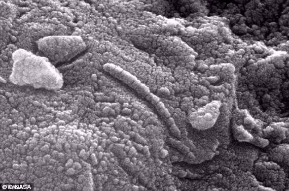 这颗陨石被称为“艾伦丘陵陨石84001”（Allen Hills 84001，常缩写为ALH 84001），在13000年前落到了南极洲的艾伦丘陵上。显微镜图片显示出一些很像生命物质的物体。
