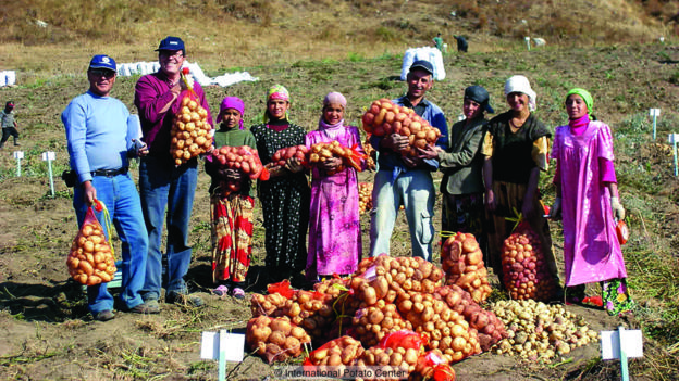塔吉克斯坦当地人也将土豆视作“本国”产品。