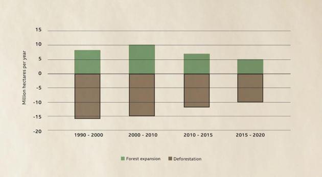 在过去的30年里，全球森林砍伐的速度呈总体放缓的趋势，但在一些最原始的森林中，砍伐问题依然严重