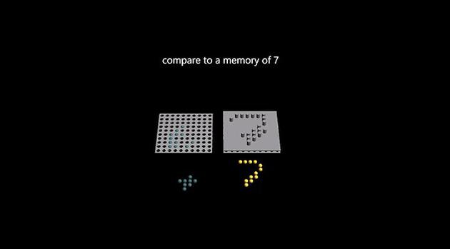 “歼灭者”DNA分子形成一个复合体，其中一个分子来自一个竞争者，另一个分子来自于不同竞争者，两者反应形成惰性、无反应的复合体种类。“歼灭者”很快就能将所有竞争对手都吃掉，最后仅剩下一个竞争者。