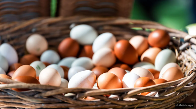 鸡蛋是维生素B12的主要来源，而这正是纯素食主义者所缺乏的一种维生素