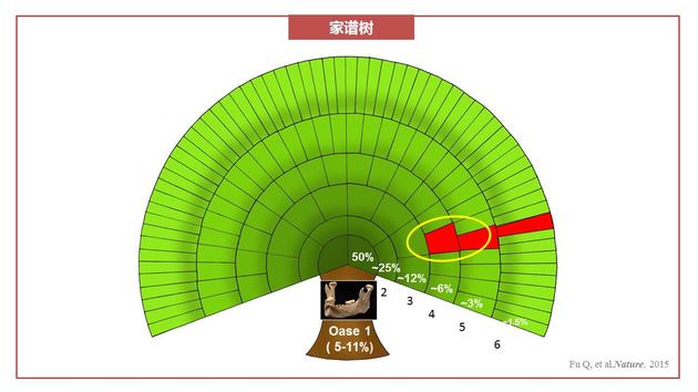 家谱树