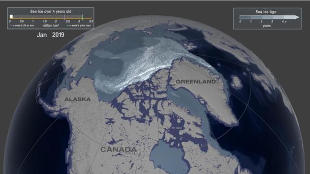 图为2019年1月第一周的北极海冰覆盖情况，存在时间超过四年的海冰面积只有11.6万平方公里。