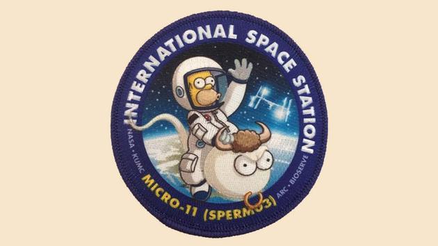 电视节目《辛普森一家》的创作者马特·格罗宁和Micro-11实验首席科学家乔·塔什很好。在这个任务徽章中，荷马·辛普森被描绘成一个宇航员，骑着一个长着牛角，挂着鼻环，看起来很生气的精子