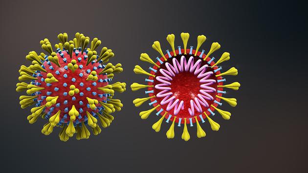 科学上讲 我们确实不知道新冠病毒真正的源头是哪里