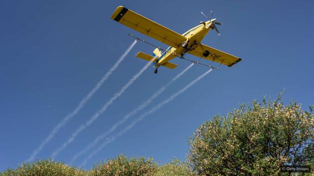 肯尼亚的抗蝗重点放在北部地区，采取了飞机喷洒杀虫剂等干预措施。