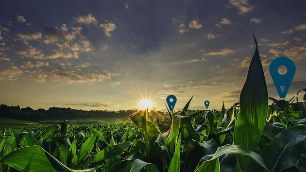 从太空到田间：悄然进行中的农业数字革命