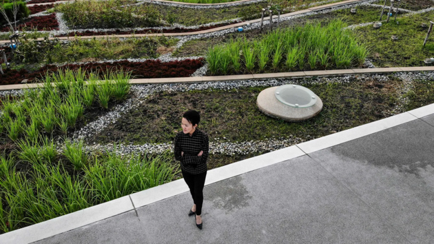 在不断扩张的城市中心,绿色屋顶为植物、鸟类和昆虫提供了栖息空间