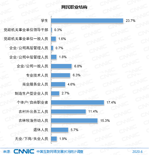 图 27 网民职业结构