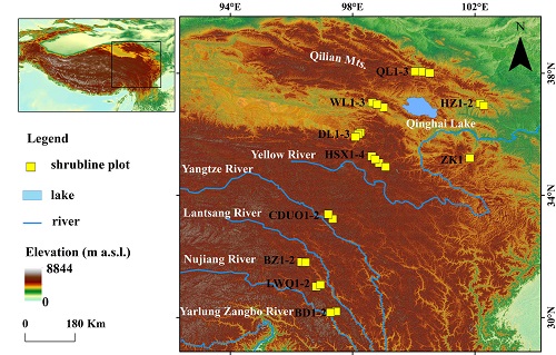 青藏高原山生柳灌木线样地的空间分布图(课题组供图)