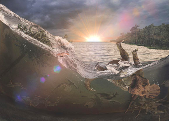 6600万年前的白垩纪末小行星撞击北美是产生了超级海啸，杀死并掩埋了鱼类、哺乳动物、昆虫和多种恐龙，这是地球最近一次集群大灭绝灾难的第一批受害者。 图片来源：罗伯特·德帕尔马。