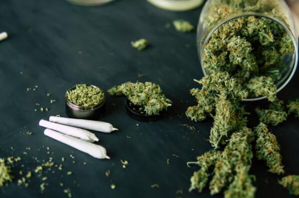大麻含有四氢大麻酚，一种能通过血脑屏障的精神活性化学物质