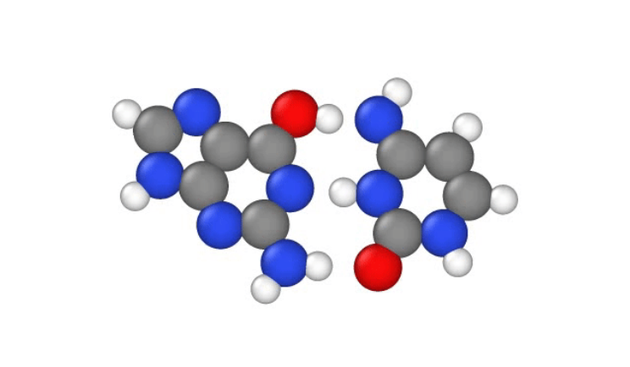 DNA 为啥会自发变异？量子物理学或将揭晓谜团