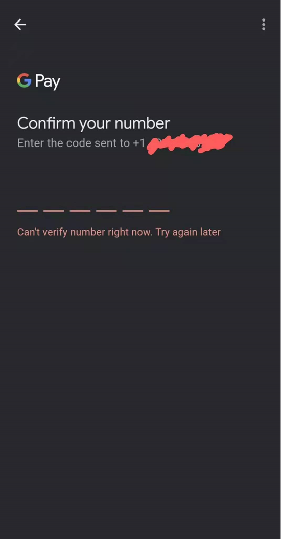 Google Pay谷歌支付被薅羊毛，人均3小时薅走1500元 liuliushe.net六六社 第7张