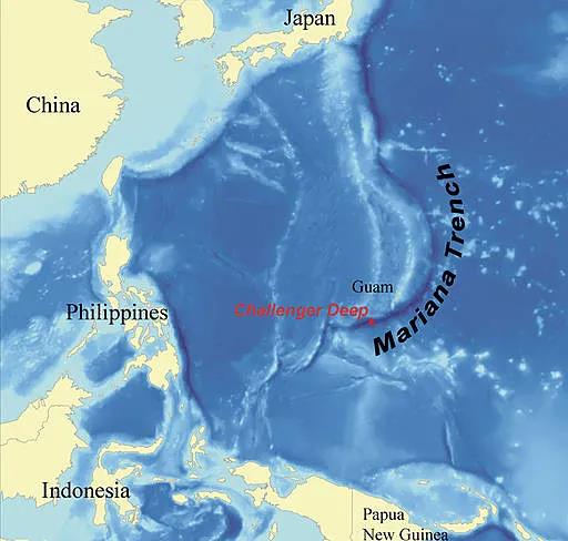 浙大Nature封面：仿生“软体机器鱼”，畅游世界最深海沟