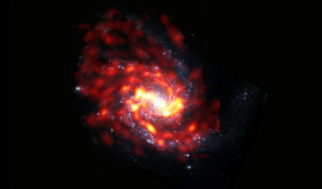 螺旋星系NGC 4254是室女座星系团中数千个受到极端物理过程影响的星系之一。ALMA的射电图像中,可以看到这个星系的分子气体呈红色/橙色;在哈勃太空望远镜的光学图像中,该星系的恒星呈白色/蓝色